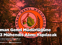 Orman Genel Müdürlüğüne 333 Mühendis Alımı Yapılacak