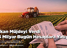 Bakan Müjdeyi Verdi 3,5 Milyar Bugün Hesaplara Yatıyor