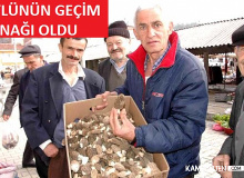 Bu İşten Günlük 3 Bin Lira Kazanan Var