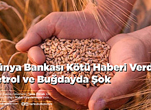Dünya Bankası Kötü Haberi Verdi Petrol ve Buğdayda Şok