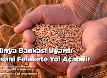 Dünya Bankası Uyardı İnsani Felakete Yol Açabilir