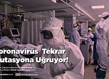Koronavirüs  Tekrar Mutasyona Uğruyor