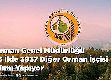Orman Genel Müdürlüğü 75 İlde 3937 Orman İşçisi Alımı Yapıyor