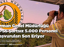 Orman Genel Müdürlüğü KPSS Şartsız 5.000 Personel Başvuruları