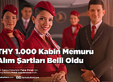 THY 1.000 Kabin Memuru Alım Şartları Belli Oldu