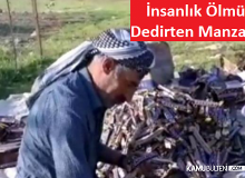 Yaralıya Yardım Etmek Yerine Dökülen Şekerleri Yağmaladılar!