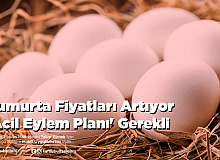 Yumurta Fiyatları Artıyor 'Acil Eylem Planı' Gerekli