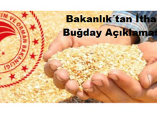 Bakanlıktan “İthal Buğday” İddialarına Yanıt Geldi