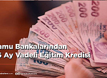 Devlet'ten Düşük Faizli 15 Bin Lira Eğitim Kredisi