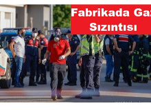Gübre Fabrikasında Gaz Sızıntısı: 2 Ölü