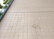 İstanbul’da Anne Vahşeti Doğurduğu Bebeği Balkondan Attı