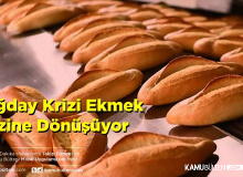 Korkulan Gerçek Oldu: Buğday Krizi Ekmek Krizine  Dönüşüyor