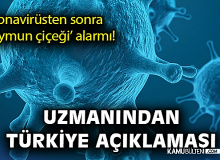 Maymun Çiçeği Virüsü Alarm Veriyor! Bu Belirtilere Dikkat!