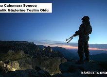 PKK'lı Terörist İkna Sonucunda Teslim Oldu