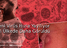 Yeni Virüs Hızla Yayılıyor İki Ülkede Daha Görüldü