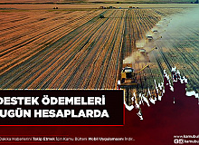 77 Milyon Destek Ödemesi Bugün Hesaplarda