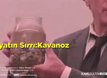 Kavanoz Hikayesi Kısa Sürede Sosyal Medyada Viral Oldu!