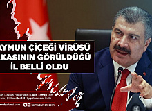 Maymun Çiçeği Virüsünün Görüldüğü İl Belli Oldu