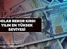 Dolar Rekor Kırdı Yılın Zirvesine Çıktı