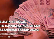 Ne Dolar Ne Altın İşte Temmuz Ayında Yatırımcısına En Fazla Kazandıran
