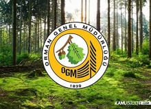 Orman Genel Müdürlüğü OGM 350 Personel Alımı Yapacak