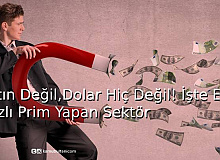 Altın Değil, Dolar Hiç Değil! İşte En Hızlı Prim Yapan Sektör
