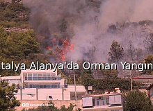 Antalya Alanya'da Orman Yangını
