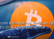 Bitcoin Balinalarının Varlıkları,29 Ayın En Düşük Seviyesine İndi