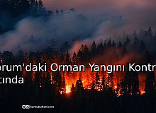 Çorum'daki Orman Yangını Kontrol Altında