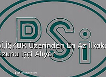 DSİ, İŞKUR Üzerinden En Az İlkokul Mezunu İşçi Alıyor