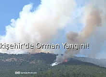 Eskişehir'de Orman Yangını