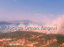 İzmir Foça'da Orman Yangını