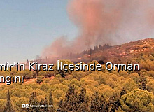 İzmir’in Kiraz İlçesinde Orman Yangını