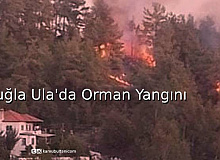 Muğla Ula’da Orman Yangını