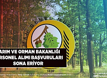 Tarım ve Orman Bakanlığı Kamuya 338 Personel Alımı Gerçekleştirecek Kadro Dağılımı Belli