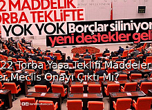 2022 Torba Yasa Teklifi Maddeleri Neler, Meclis Onayı Çıktı Mı?