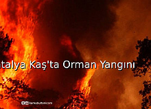 Antalya Kaş’ta Orman Yangını