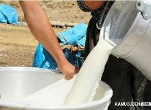Çiftçiler ineklerini tek tek kesiyor! Süt üretimi tehlikede