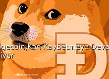Dogecoin, Kan Kaybetmeye Devam Ediyor