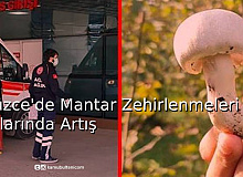 Düzce’de Mantar Zehirlenmeleri Vakalarında Artış