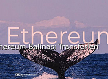 Ethereum Balinası Transferleri 