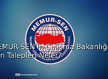MEMUR-SEN'in Çalışma Bakanlığı'ndan Talepleri Neler?