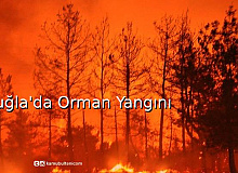 Muğla'da Orman Yangını