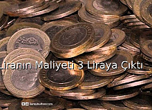 1 liranın maliyeti 3 liraya çıktı