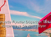 Dünyada Fiyatlar Düşüyor, Türkiye'de ise Yükseliyor