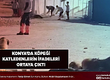 Konya’da Köpeği Katledenlerin İfadeleri Ortaya Çıktı