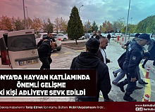 Konya’daki Hayvan Katliamında Yeni Gelişme 2 Kişi Adliyeye Sevk Edildi