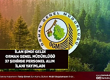 İlan Bugün Yayımlandı Orman Ve Genel Müdürlüğü 37 Şehirde 109 Yeni Personel Alımı Daha Yapacak