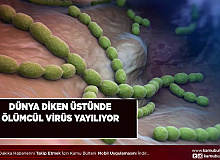 Ölümcül Virüs Dünyaya Yayılıyor Son Kurbanı 5 Yaşındaki Çocuk