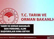 Tarım ve Orman Bakanlığı En Az 50 KPSS ile 1200 Personel Alımı Yapıyor